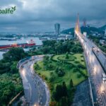 Runner leo dốc cầu Bãi Cháy tại VM Hạ Long 2023. Ảnh: Herbalife