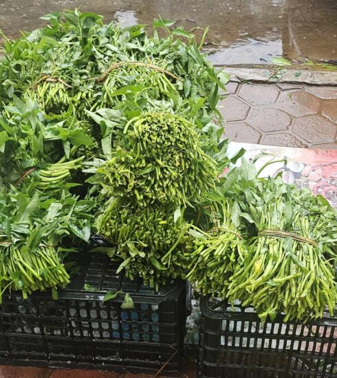 Rau ăn lá tăng giá gấp đôi, ba ngày thường. Ảnh: Phương Dung