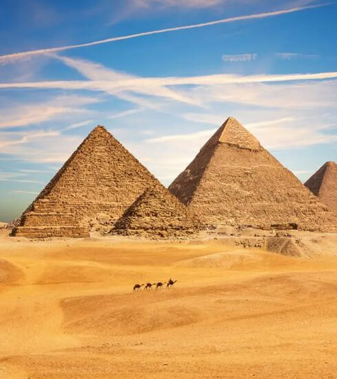Các kim tự tháp Giza. Ảnh: AlexAnton/Shutterstock