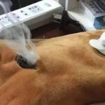 5 đồ dùng trong nhà không nên tiếp xúc lâu