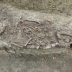 Hài cốt bé trai nằm ở nền móng của nhà thờ Christianity Uniate bishop’s Palace tại Chelm. Ảnh: Lubelski Wojewódzki Konserwator Zabytków