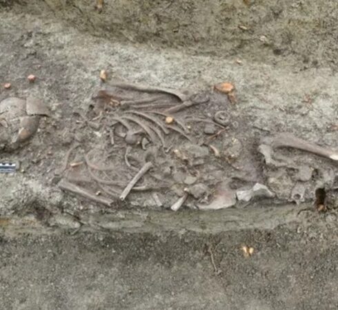 Hài cốt bé trai nằm ở nền móng của nhà thờ Christianity Uniate bishop’s Palace tại Chelm. Ảnh: Lubelski Wojewódzki Konserwator Zabytków