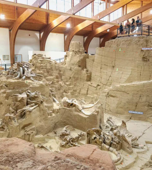 Hố tử thần mồ chôn của 100 con voi ma mút