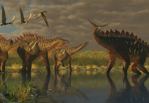 Khủng long từng sống cùng chim, nhưng sau đó tuyệt chủng khi tiểu hành tinh đâm xuống Trái Đất. Ảnh: Corey Ford/Stocktrek Images