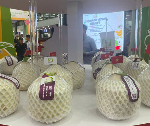 Dừa Việt Nam được trưng bày tại hội chợ cuối tháng 9 tại Trung Quốc. Ảnh: Đăng Khoa