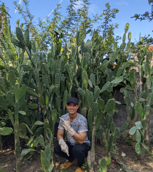 Trần Bảo Huy bên vườn xương rồng tai thỏ tại Phú Yên, tháng 10/2023. Ảnh: Nhân vật cung cấp