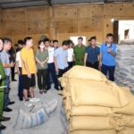 Ma túy ngụy trang trong các bao xi măng trong chuyên án 103H. Ảnh: Công an cung cấp