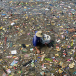 Ô nhiễm nhựa tại bãi biển Sukaraja (Lampung, Indonesia), năm 2024. Ảnh: We Animals