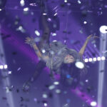 Thanh Lam đu dây trong tiết mục Our song. Ảnh: Đông Tây