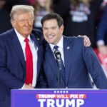Ông Donald Trump (trái) và thượng nghị sĩ Marco Rubio tại cuộc vận động tranh cử ở Raleigh, bang Bắc Carolina ngày 4/11. Ảnh: AFP